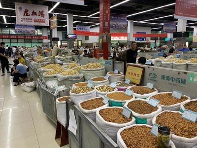 中部崛起勢(shì)正勁 安徽亳州如何“抓一把中藥，服下一帖驕傲”？——從傳統(tǒng)藥都到現(xiàn)代商品批發(fā)貿(mào)易中心的轉(zhuǎn)型之路